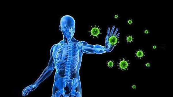 渗透测试的真正价值：从“年度体检”到“持续免疫”的进化之路